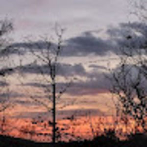 Meet your Posher, Isabella